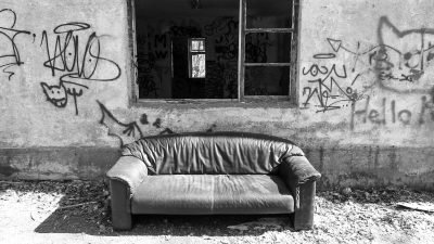 grayscale photo of zebra lying on floor