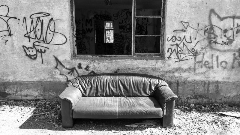 grayscale photo of zebra lying on floor