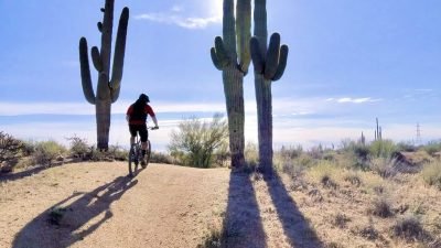 83891CC2-D196-4E4E-9E13-EECBE519F201