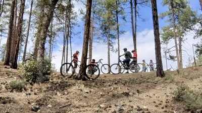 Group of mountain bikers riding a forest trail together near Bean Peaks