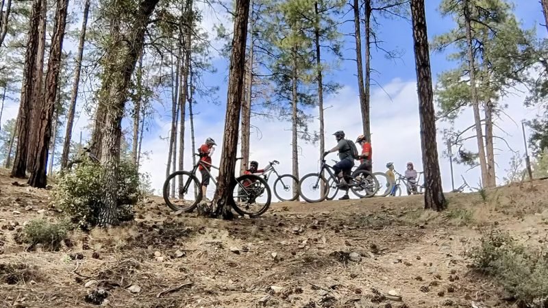 Group of mountain bikers riding a forest trail together near Bean Peaks